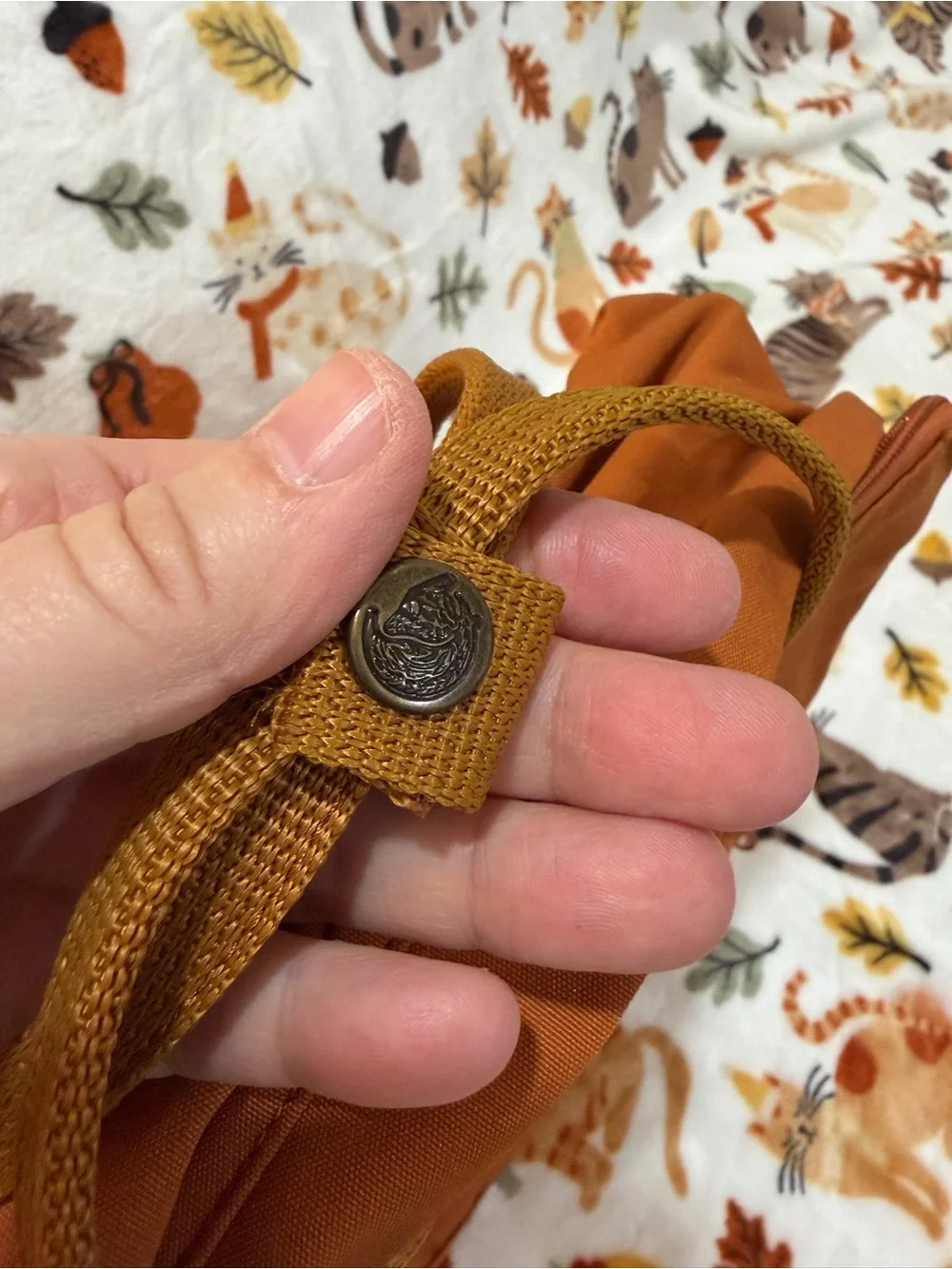 Fjallraven autumn 🍂
